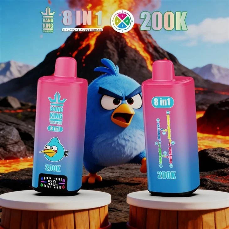 BANG KING VAPEN 200000 8IN1 high quality