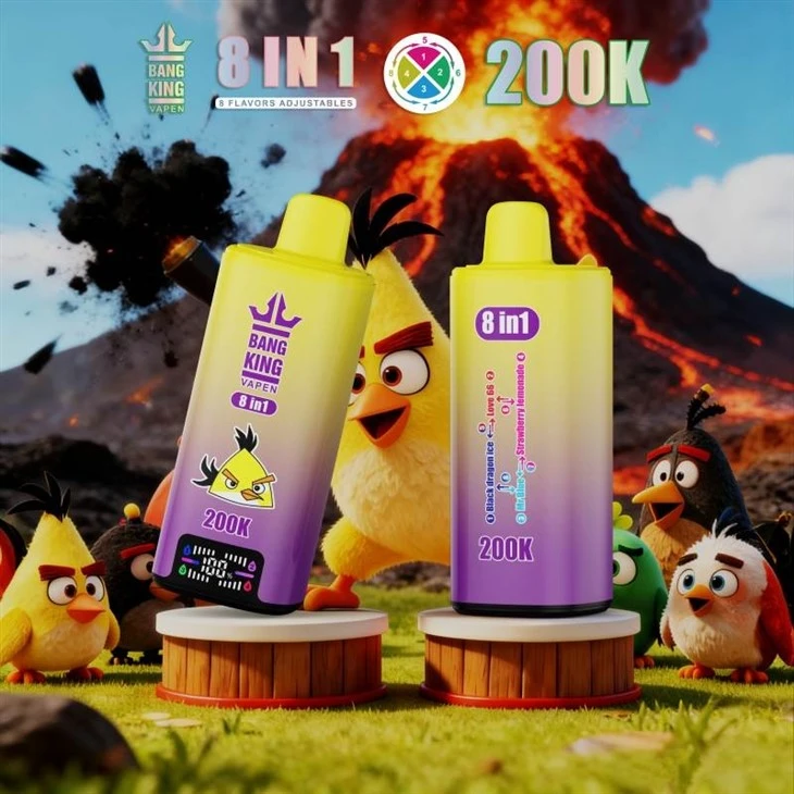 BANG KING VAPEN 200000 8IN1 factory