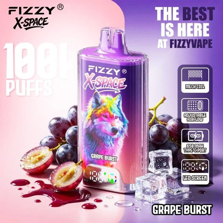 Fizzy X Space 100K suppliers