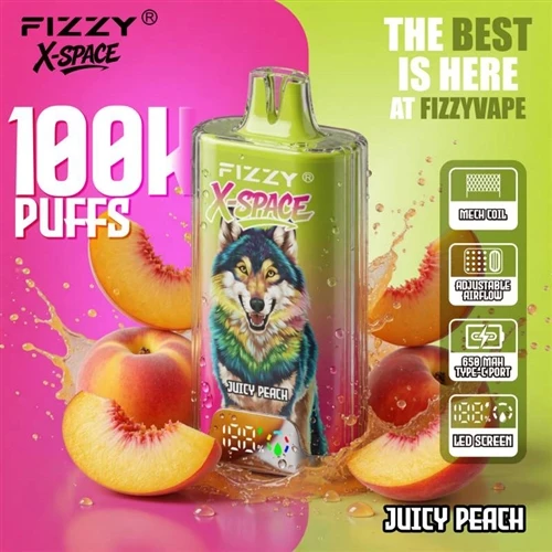 Fizzy X Space 100K: Észrevételek a nagy-kapacitású eldobható porszívók trendj...