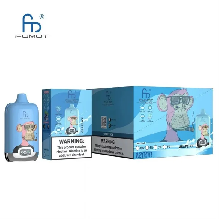 RandM Digital Box 12000 Puffs Vape